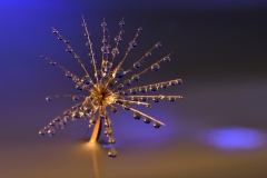 Perles-deau-et-de-lumiere-6