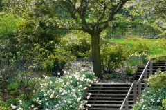 Bernadette Frischmann (1ère)