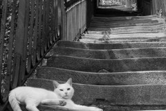 Jean-François Laigre (2è)