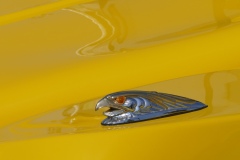 Bernadette Frischmann