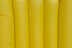 Claude Guénard - Escargot