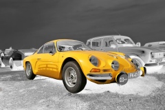 Danielle Schuller-Boschian - Alpine jaune