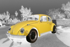 Danielle Schuller-Boschian - Coccinelle jaune