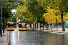 Joëlle Heimlich - En harmonie