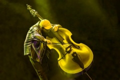 Serge Heimlich - Samuel Fhima