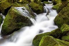 Bain de mousses ©Jean-Francois Laigre