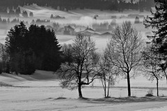 Brume hivernale ©Claude Guénard