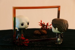 Projection ©Cécile Bossmann