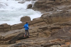 Saut de puce ©Raymond Roux