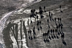 Symphonie en noir et blanc ©Claude Guénard
