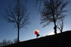 Hommage à Picasso ©Catherine Lefort