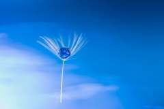 Dans-les-nuages-Anne-Sutter-35