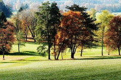 Debut-dautomne-Serge-Jochum-30