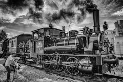 La bête humaine à Volgelsheim (Claude Guenard)