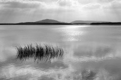 Lac-de-Madine-Martine-Greiber-38
