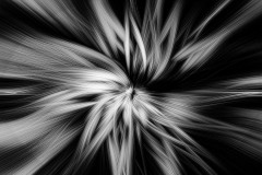 Quatrieme-dimension-Arlette-Schreder-32