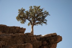 Sentinelle-au-dessus-de-la-valee-Danielle-Remy-37