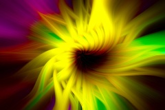 Tournesol-tourbillone-Arlette-Schreder-29