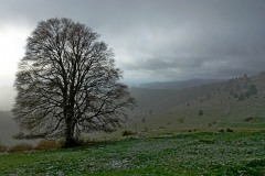 Un-matin-davril-Martine-Greiber-14