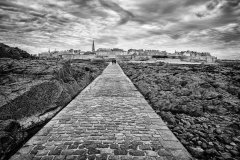 Alain-Lallement - La Cité Corsaire