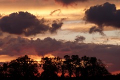 Bernadette Frischmann - Après l'orage