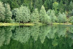 Bernadette Frischmann - Miroir des essences