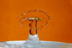 Emile Borner - Collision de 2 gouttes d'eau