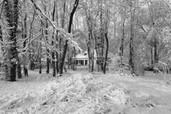 Maurice-F-Ma-cabane-au-Canada-25