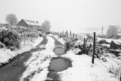 Aubrac ©Maurice Fordoxel