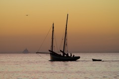 Le départ ©Alain Lallement