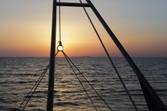 Piégé ©Raymond Roux