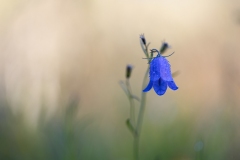 Sélection internet 2022