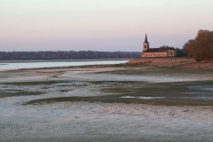 Rescapée du Lac du Der - Raymond Roux