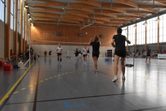 Badvet 2023 - Yoann 4