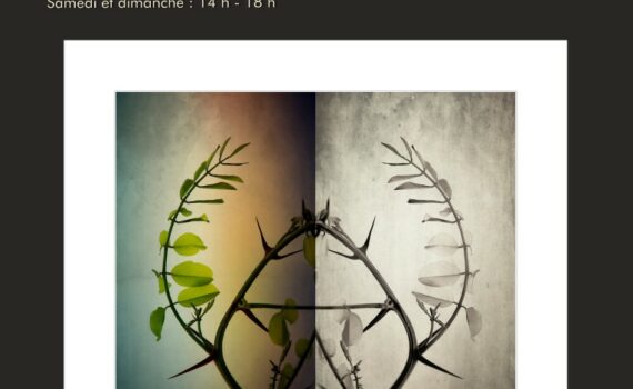 Exposition Club Photo Marly Moselle 2022