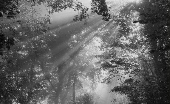 Affiche exposition photo plein air Marly 2023