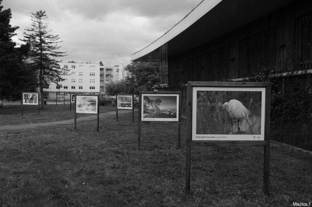 Montage de l'expo photo 2024, reportage Maurice F