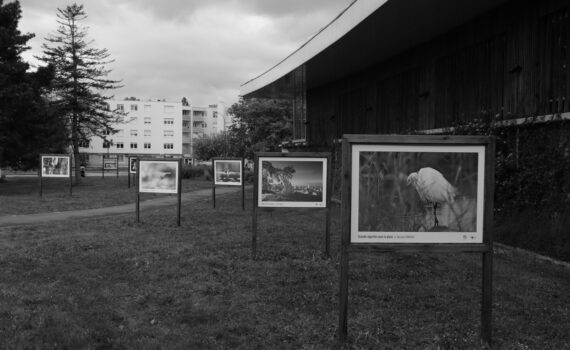 Montage de l'expo photo 2024, reportage Maurice F